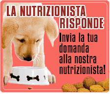 La Nutrizionista Animale risponde, invia la tua domanda! Consulenza gratuita La Nutrizionista Animale risponde, invia la tua domanda! Consulenza gratuita