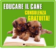 Consulenza comportamentale per cani online