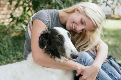 Il Levriero cane da compagnia