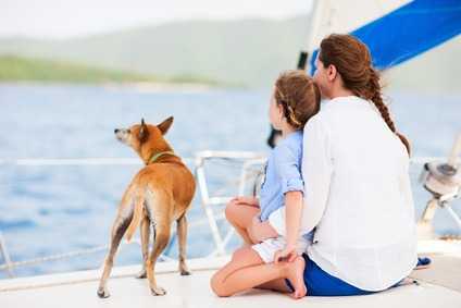 Anche le navi accettano ben volentieri i cani che viaggiano con il proprio padrone