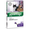 Advantage spot on antiparassitario per gatti