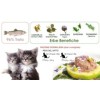 Alimenti umidi per gattini Quaglia con Mela Kitten 85 gr Dalla Grana