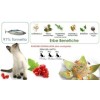 Alimenti umidi per gatti Tonnetto con Ribes Rosso 85 gr Dalla Grana