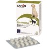 Condrosalus Condroitina e Glucosamina per cani 60 compresse x 1000 mg