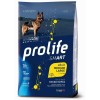 Prolife Adult Pollo & Riso Smart Medium/Large 12 kg (GRATIS SPEDIZIONE)