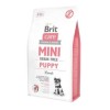 Crocchette Brit Care Mini Grain Free Puppy Agnello 7 Kg (GRATIS SPEDIZIONE)