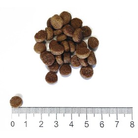 Prolife Gatto Life Style Kitten Pollo e Riso 7 kg