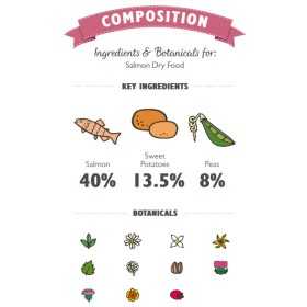 Lily’s Kitchen Cane Salmone con Patate Dolci, Piselli e Aneto Adult 7 Kg (GRATIS SPEDIZIONE)