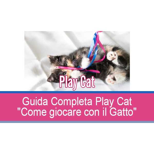 Guida Completa "Play Cat" Come giocare con il Gatto