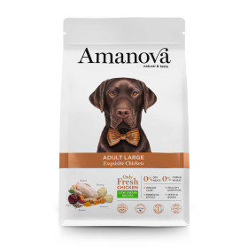 Amanova cane Adult Large Exquisite Pollo 12 kg (GRATIS SPEDIZIONE)