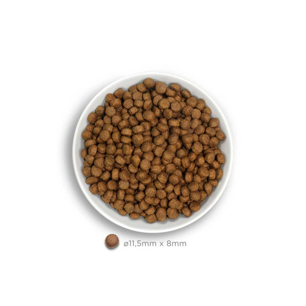 Crocchette Amanova cane Adult Large Exquisite Pollo 12 kg (GRATIS SPEDIZIONE)