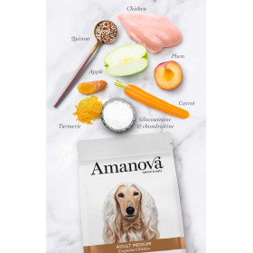 Crocchette Amanova cane Adult Medium Exquisite Pollo 12 kg (GRATIS SPEDIZIONE)
