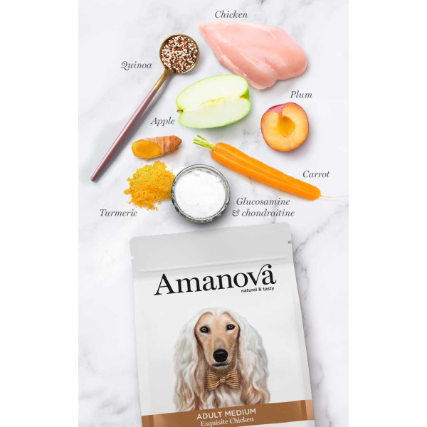 Crocchette Amanova cane Adult Medium Exquisite Pollo 12 kg (GRATIS SPEDIZIONE)