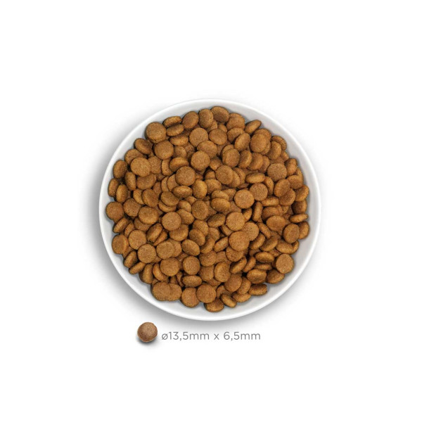 Crocchette Amanova cane Adult Medium Exquisite Pollo 12 kg (GRATIS SPEDIZIONE)