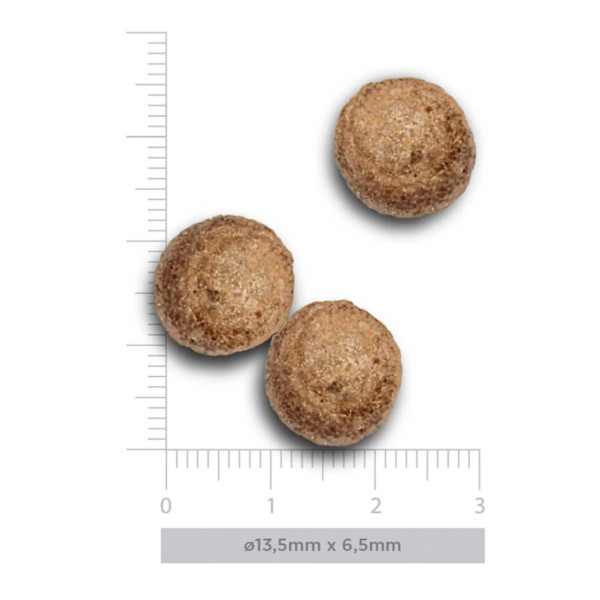 Crocchette Amanova cane Adult Medium Exquisite Pollo 12 kg (GRATIS SPEDIZIONE)