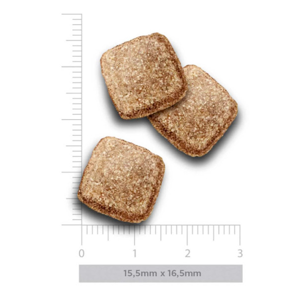 Crocchette Amanova cane Mature Pesce Delicacy 10 kg (GRATIS SPEDIZIONE)