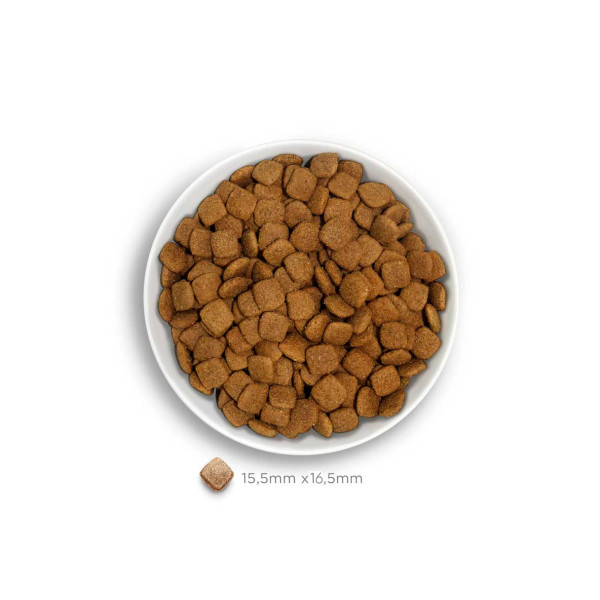 Crocchette Amanova cane Mature Pesce Delicacy 10 kg (GRATIS SPEDIZIONE)