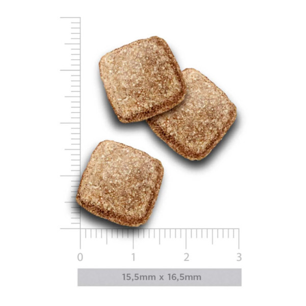 Crocchette Amanova cane Adult Obesity Tacchino Delight 10 kg (GRATIS SPEDIZIONE)