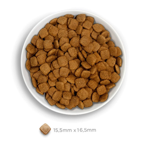 Crocchette Amanova cane Adult Obesity Tacchino Delight 10 kg (GRATIS SPEDIZIONE)