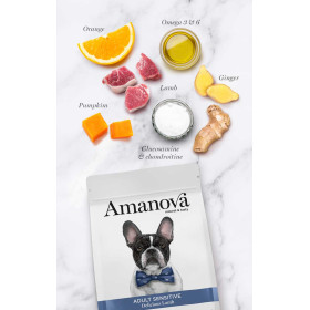 Crocchette Amanova cane Adult Sensitive Agnello Delicious 10 kg (GRATIS SPEDIZIONE)
