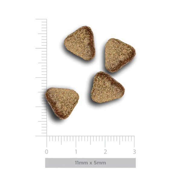 Crocchette Amanova cane Adult Mini Digestive Coniglio Divine 7 kg (GRATIS SPEDIZIONE)