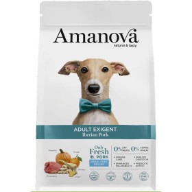 Amanova cane Adult Exigent Iberian Maiale 10 kg (GRATIS SPEDIZIONE)