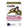 Enterosalus integratore per squilibri gastroenterici di cani e gatti 30 compresse da 1 g