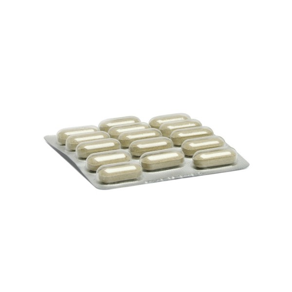 Artosalus integratore per articolazioni di cani e gatti 60 compresse da 1000 mg
