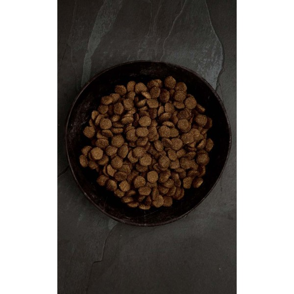 Crocchette Canagan cane Salmone Scozzese con Aringa e Trota 12 kg (GRATIS SPEDIZIONE)
