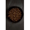 Crocchette Canagan cane Salmone Scozzese con Aringa e Trota 12 kg (GRATIS SPEDIZIONE)