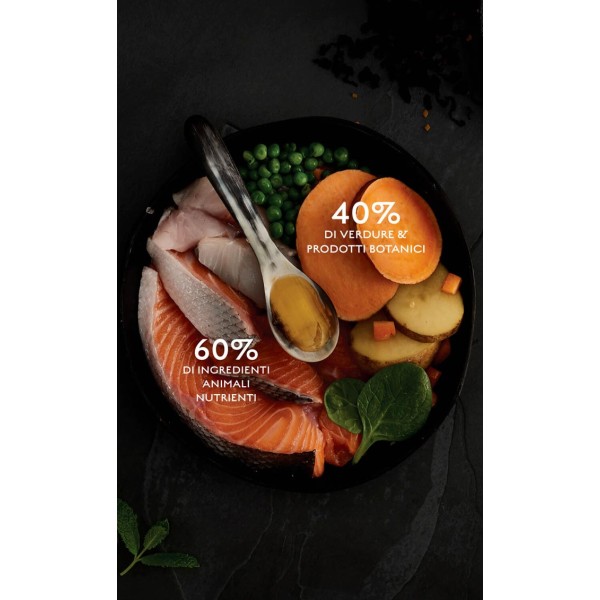 Crocchette Canagan cane Salmone Scozzese con Aringa e Trota 12 kg (GRATIS SPEDIZIONE)