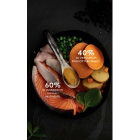 Crocchette Canagan per cani Small Breed Salmone Scozzese Aringa e Trota 6 Kg (GRATIS SPEDIZIONE)