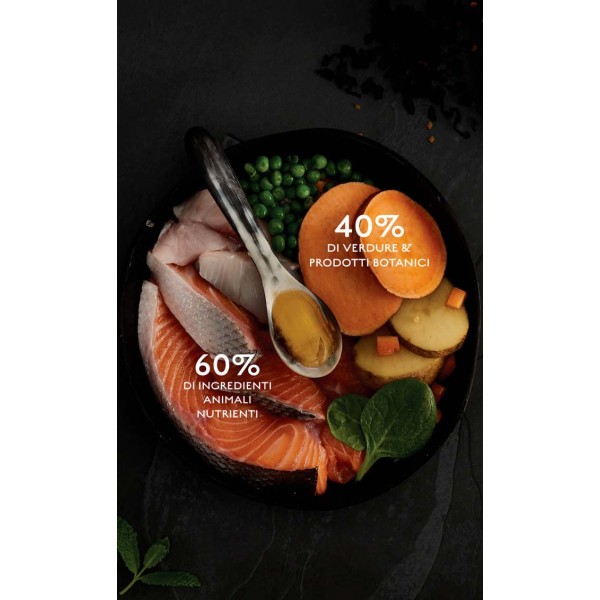 Crocchette Canagan per cani Small Breed Salmone Scozzese Aringa e Trota 6 Kg (GRATIS SPEDIZIONE)