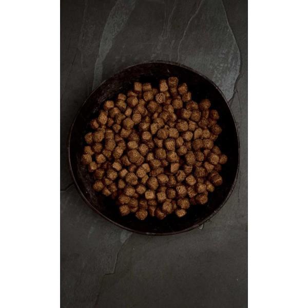 Crocchette Canagan Dental per cani Small Breed Tacchino e Pollo 6 Kg (GRATIS SPEDIZIONE)