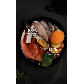 Crocchette Canagan gatto Salmone Scozzese 8 kg (GRATIS SPEDIZIONE)