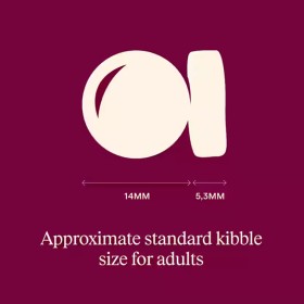 Carnilove Active Adult Anatra & Fagiano 12 Kg  (GRATIS SPEDIZIONE)