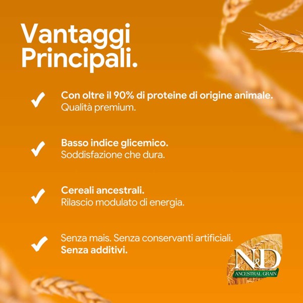 Farmina N&D Ancestral Light Medium & Maxi Pollo e Melograno 12kg (GRATIS SPEDIZIONE)
