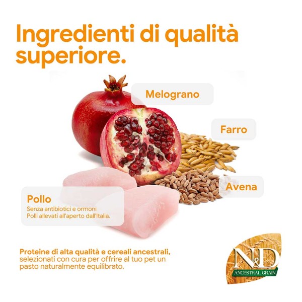 Farmina N&D Ancestral Senior Medium & Maxi Pollo e Melograno 12kg (GRATIS SPEDIZIONE)