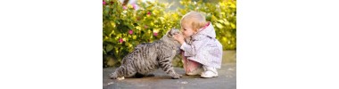 Tutto per Gatti