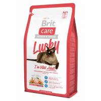 Prevenire attraverso la nutrizione: le crocchette per gatto Brit Care