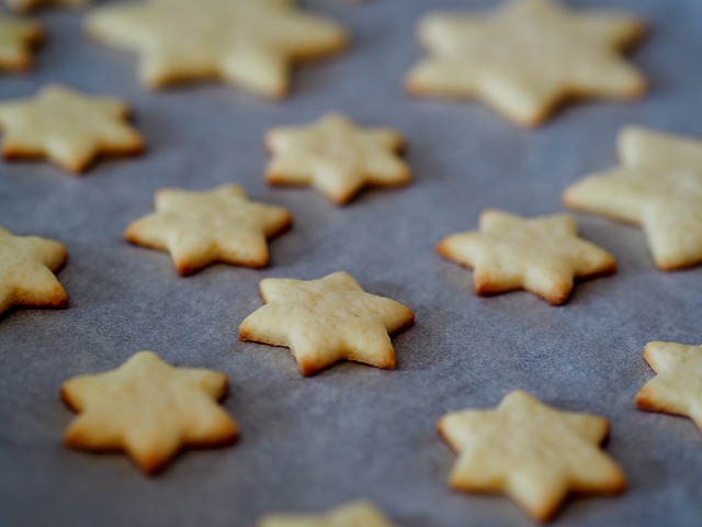 snack per gatti fatti in casa ricette