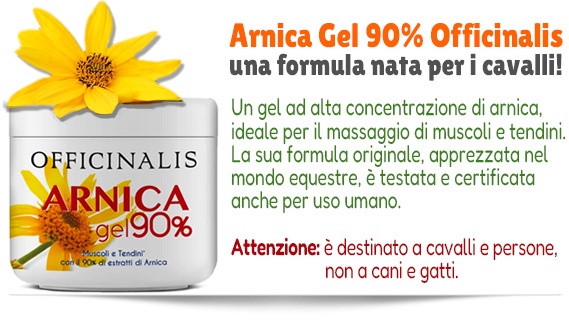 Arnica Gel 90% Officinalis