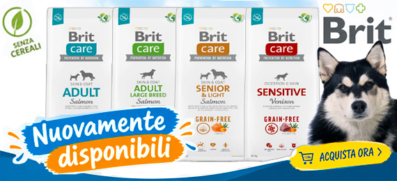 Brit Care nuovamente disponibili
