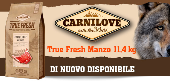 Carnilove True Fresh Manzo 11,4 kg di nuovo disponibile!