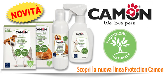 Scopri la nuova linea naturale Camon