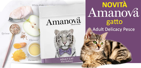 NOVITA': Amanova Gatto Delicacy Pesce 6 kg