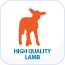 High Quality Italian Lamb