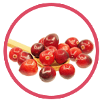 bocconcini in salsa Feline Natural Trainer Adult Mirtilli rossi