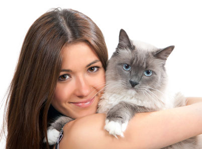curiosità sui gatti, le fusa dei gatti