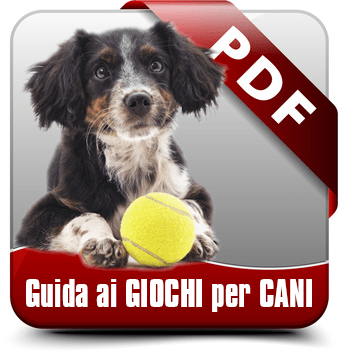 guida ai giochi per cani